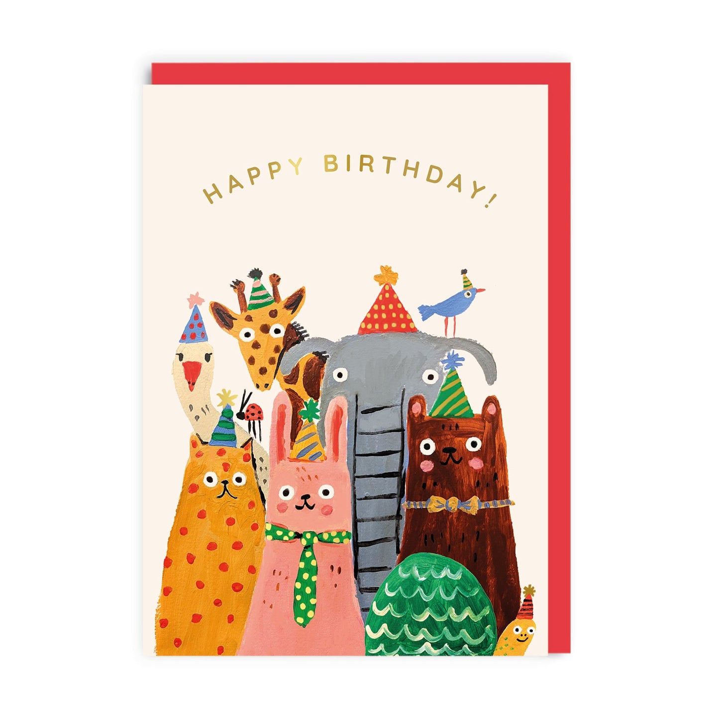 Animal Birthday Party