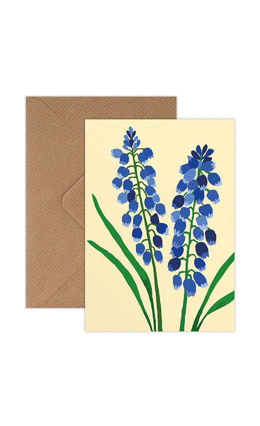 Mini Grape Hyacinth by Brie Harrison