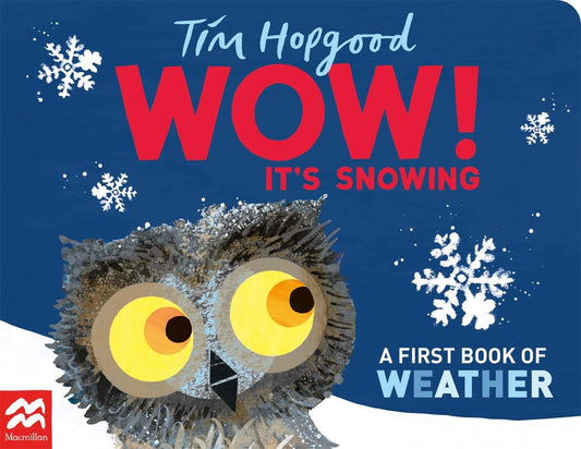 Wow It’s Snowing: A First Book Of Weather (Board)