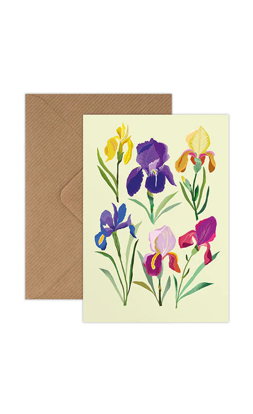 Irises by Brie Harrison