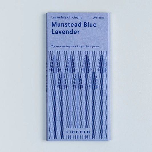 Lavender - Munstead Blue