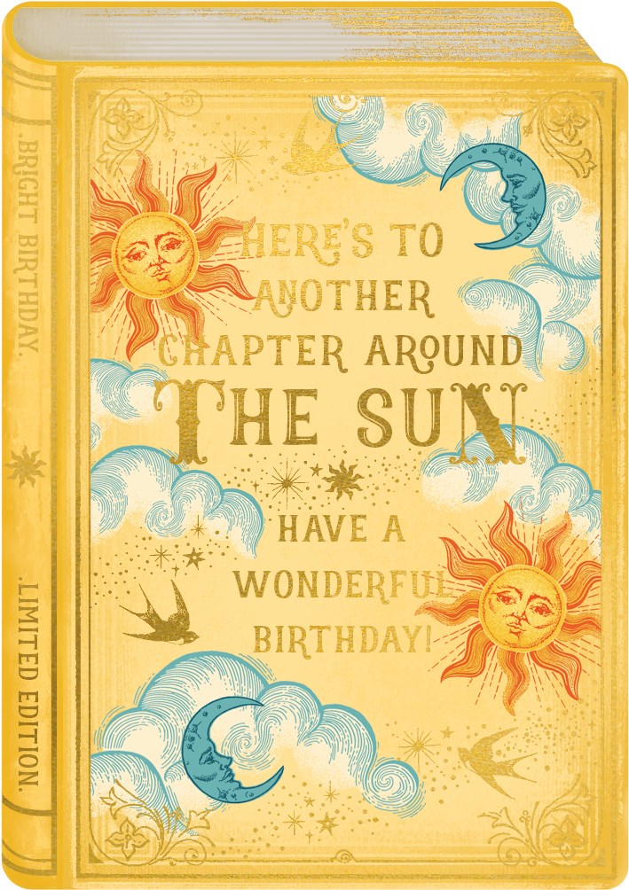 Chapter Around the Sun