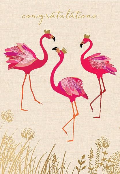 Congratulations Flamingo - Sarah Miller