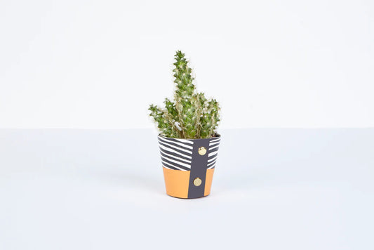 Studio Wald Pot Cover - Small