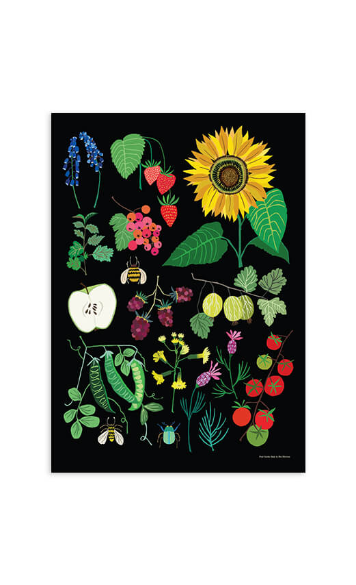 Fruit Garden Study - A3 Print - Brie Harrison
