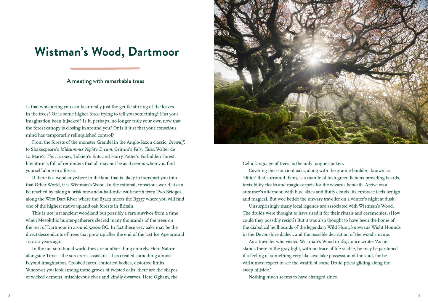 The Great British Bucket List