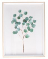 Framed Print 45cm - Eucalyptus Branch