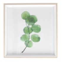 Framed Print Small - Watercolour Branch