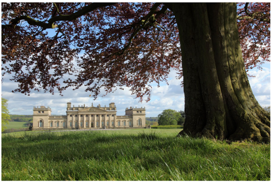 Harewood House North Front Print