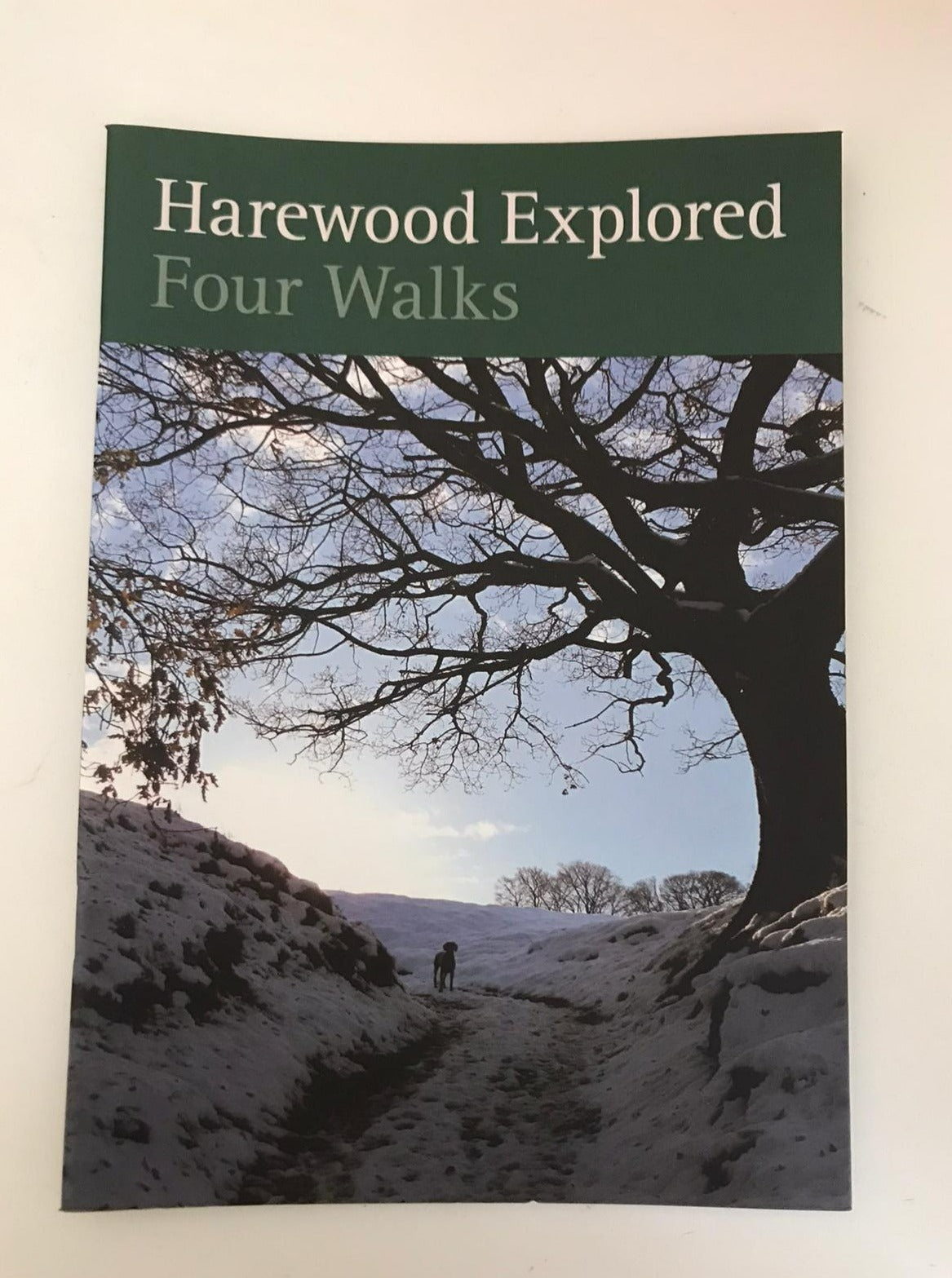 Harewood Explored Four Walks