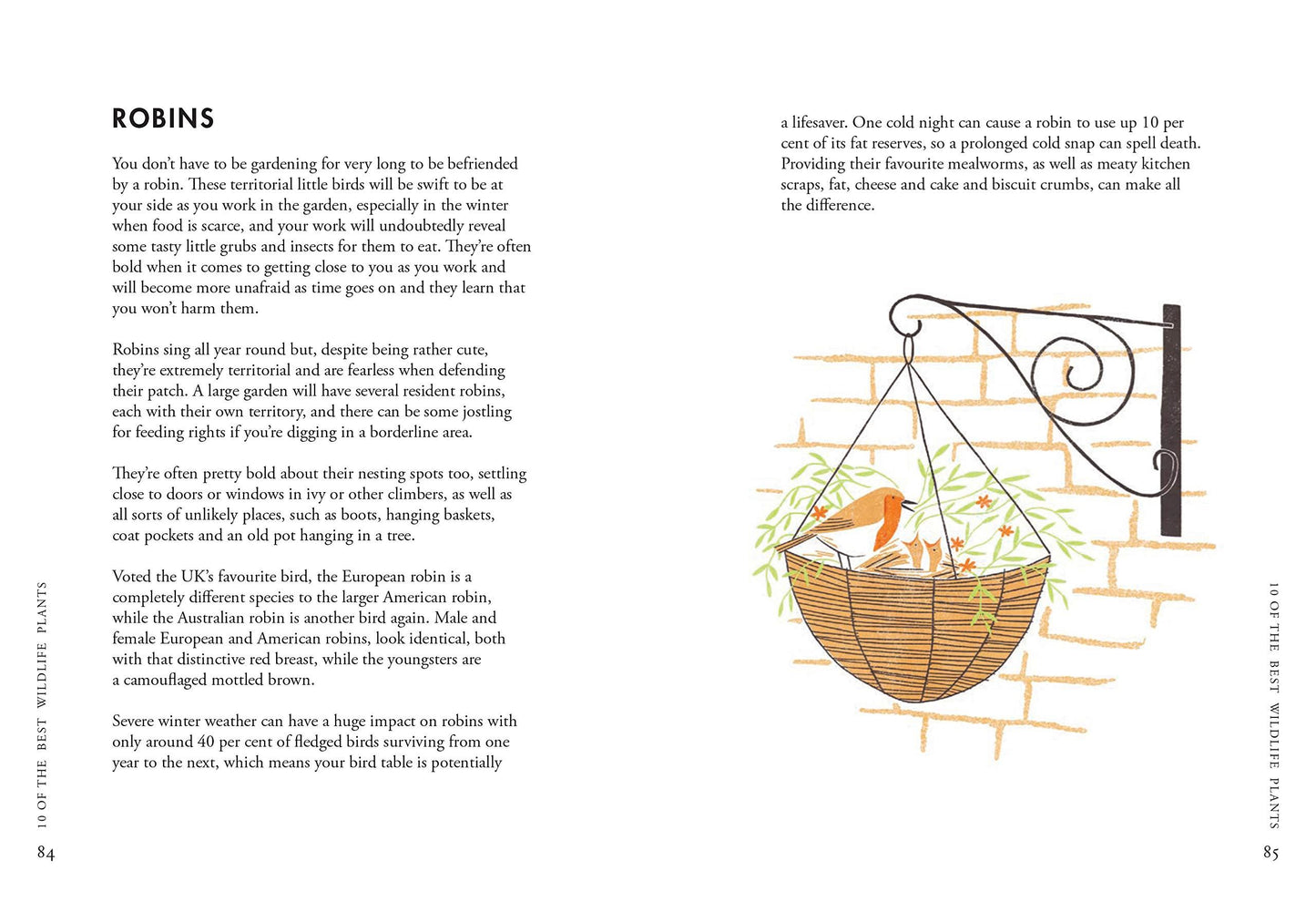 Planting for Wildlife
