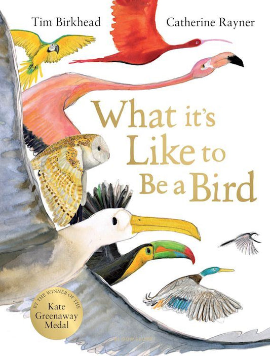 What it’s like to be a Bird, Tim Birkhead & Catherine Rayner