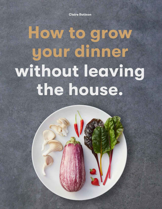 How to grow your own dinner without leaving the house.