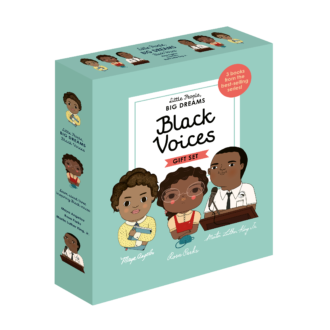 Black Voices Box set