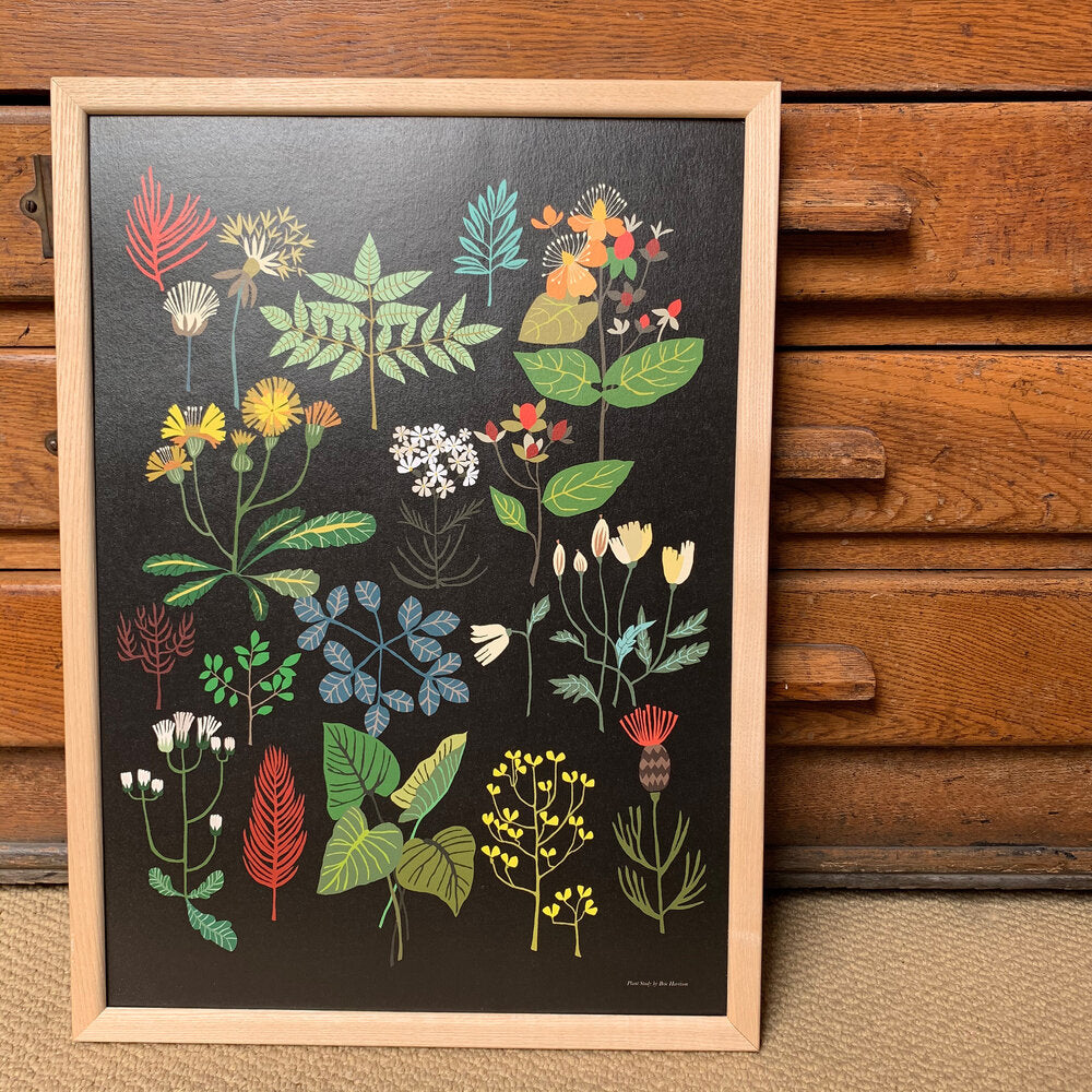 Plant Study - A3 Print - Brie Harrison