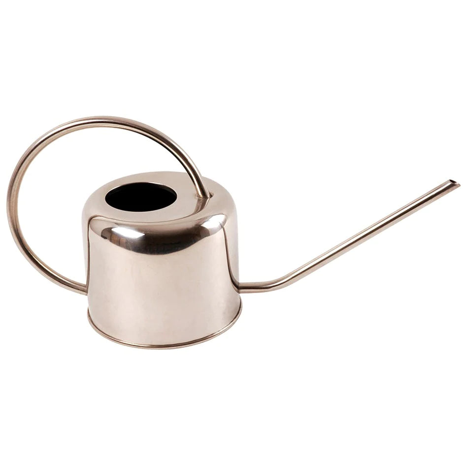 Stainless Steel Watering Can (1 L)